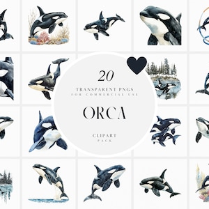 Aquarell Orca Clipart, Schwertwal Clipart, Schwarzweiß Orca Clipart, Meeressäugetiere, Leben im Meer, Transparente PNG, kommerzielle Nutzung