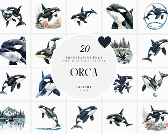 Watercolor Orca Clipart, Killer Whale Clipart, Black and White Orcas Clipart, Marine Mammals, Sealife, Transparent PNG, Commercial Use