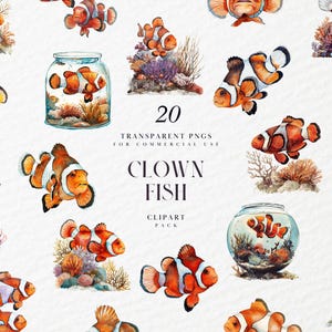 Clipart de peixe-palhaço aquarela, clipart de Procurando Nemo, listrado laranja branco preto, sob o mar, vida no oceano, PNG transparente, uso comercial