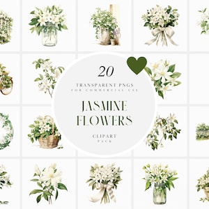 Aquarell weißer Jasmin Clipart, Floral Jasmin Blumenstrauß Clipart, süße Braut weiße Hochzeit Blumen Clipart, transparente PNG, kommerzielle Nutzung