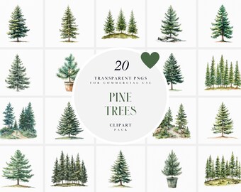 Watercolor Pine Tree Clipart, Green Pine Trees Clipart, Pine Forest Clipart, Mature Woodland Trees, Transparent PNG Graphics, Commercial Use