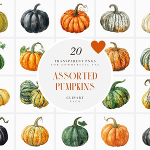 Watercolor Assorted Pumpkin Clipart, Variety of Pumpkins, Unique Shaped, Autumn, Fall, Black, Green, Yellow, Transparent PNG, Commercial Use