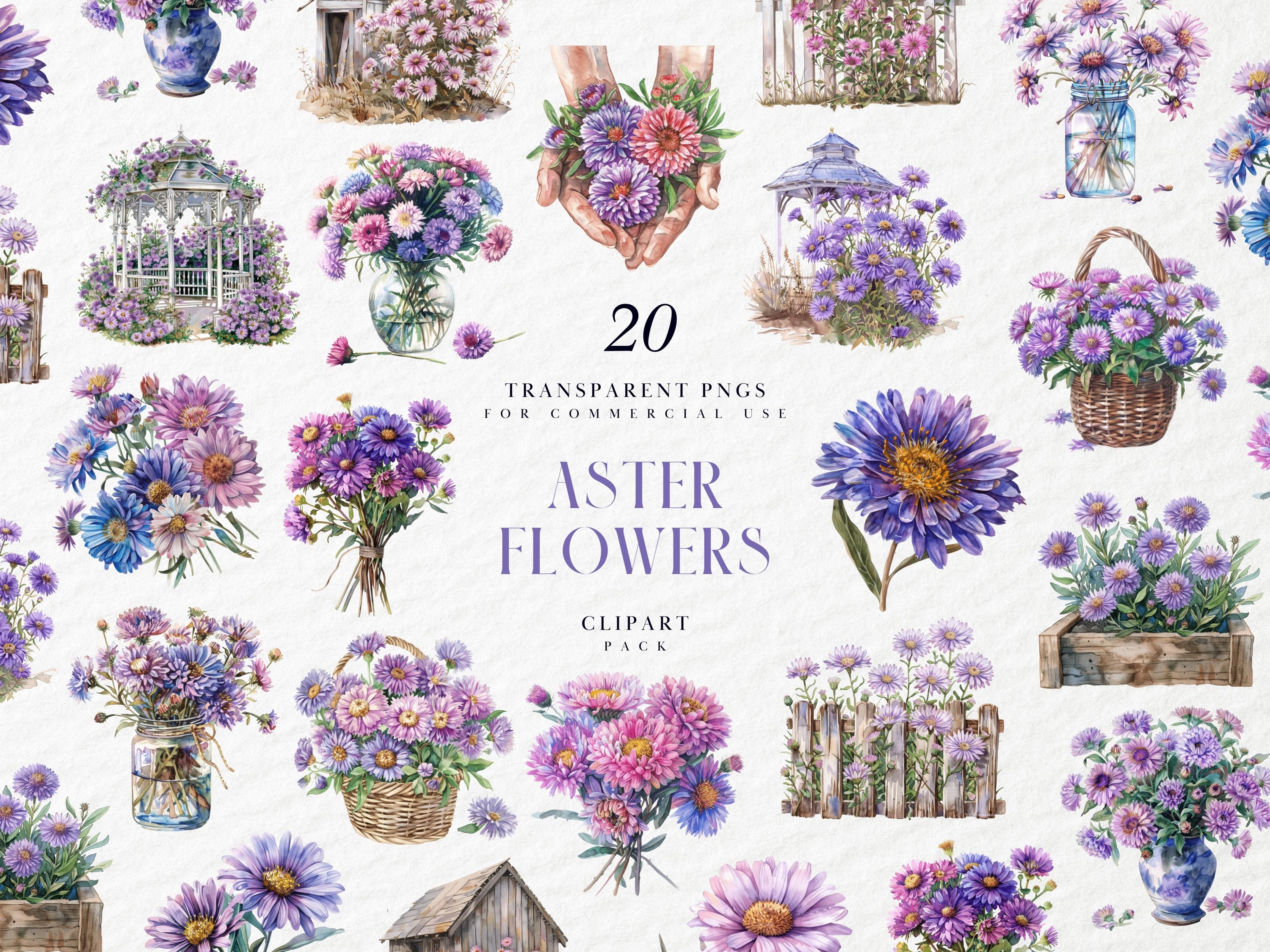 Watercolor Aster Flowers Clipart, Birthflower, Floral Arrangement ...