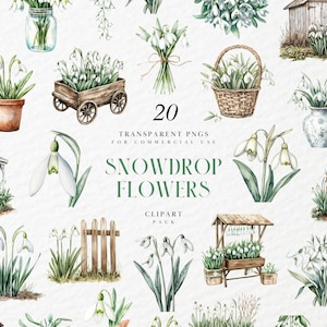 Clipart fleurs aquarelle perce-neige, floraison blanche printanière, bouquet botanique de fleurs sauvages, carte de mariage, graphique PNG transparent, usage Commercial
