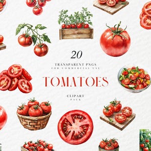 Peut inclure: Un pack de clipart aquarelle de 20 tomates rouges dans différentes dispositions. Les tomates sont représentées à différents stades de maturité, certaines entières, d'autres tranchées et d'autres en salade. Le texte "20 TRANSPARENT PNGS FOR COMMERCIAL USE TOMATOES CLIPART PACK" est affiché au centre de l'image.