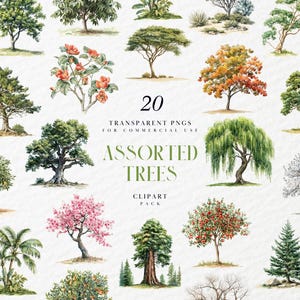 Clipart aquarelle d'arbres assortis, feuillage de la forêt botanique, pin à feuilles persistantes chêne bouleau, Art de la nature boisée, PNG Transparent, usage Commercial