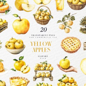 Clipart pommes jaunes aquarelle, conception d'autocollant de nourriture, délicieux doré, opale, récolte de fruits d'automne, graphique PNG transparent, usage Commercial