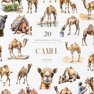 Aquarell Kamel Clipart, Dromedar, Arabische Kamele, Sahara Tiere, Ein Buckel Baktrian, Zoo Wildtiere, Transparente PNG, kommerzielle Nutzung