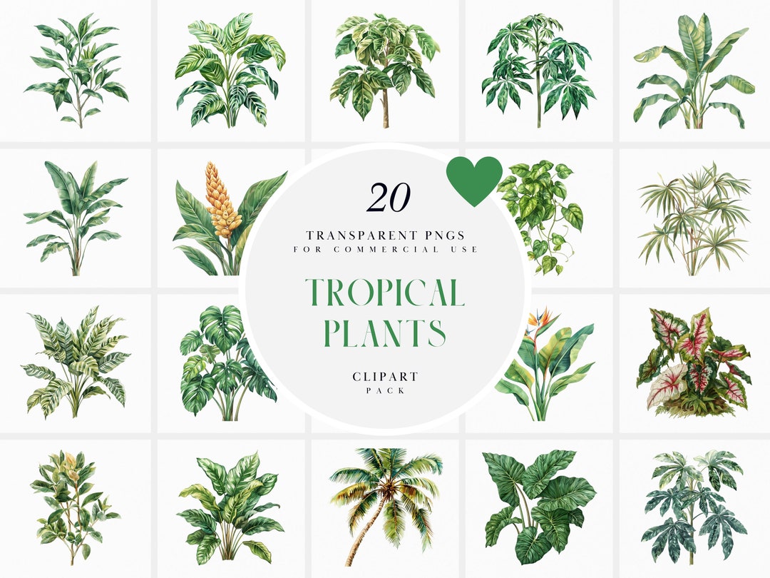 Watercolor Tropical Plants Clipart, Tropical Forest Plant Clipart ...
