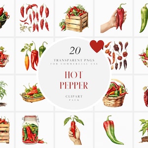 Watercolor Hot Pepper Clipart, Red Hot Peppers Clipart, Garden Pepper Clipart, Spicy Pepper Clipart, Transparent PNG Graphic, Commercial Use