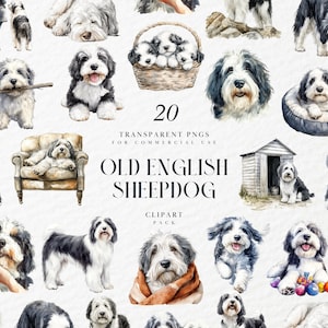 Imágenes prediseñadas de perro pastor inglés antiguo en acuarela, perro bobtail peludo, retrato de perro pastor peludo, gráficos PNG transparentes, uso comercial