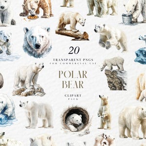 Watercolor Polar Bear Clipart, White Polar Bears Clipart, Realistic Arctic Bear Animals Clipart, Transparent PNG Files for Commercial Use