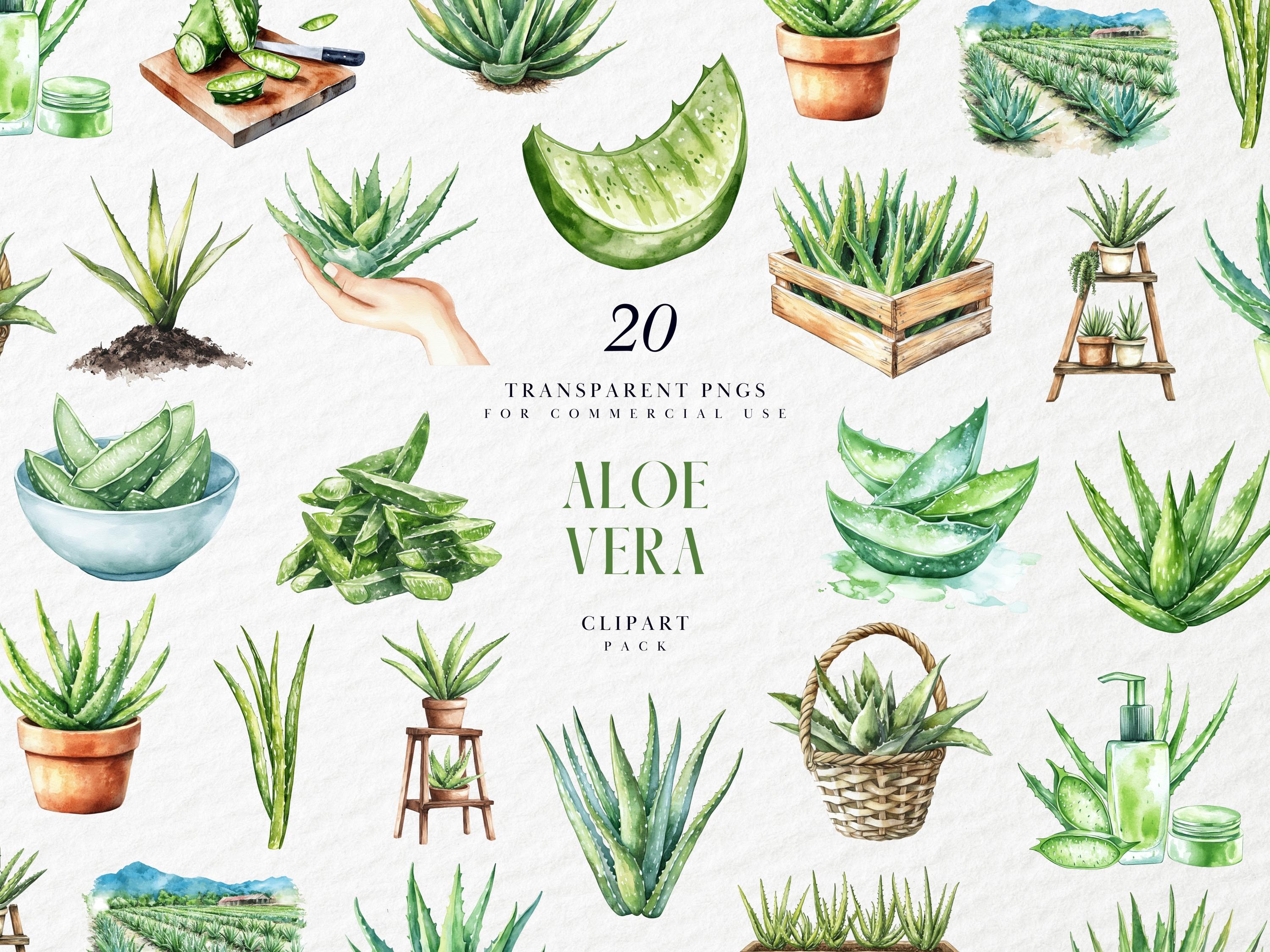 aloe vera über nacht einwirken lassen gesicht Aloe Vera Gel – 100% Feuchtigkeit [Kühlend & Pur] main image 1