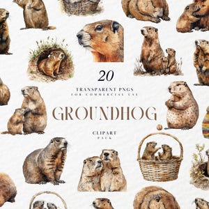 Clipart aquarelle marmotte, clipart marmotte, printemps, jour de la marmotte, rongeur, animaux de la forêt, faune, PNG Transparent, usage Commercial