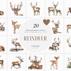 Watercolor Realistic Reindeer Clipart, Reindeers Clipart, Arctic Animals, Woodland Forest Reindeer, Transparent PNG Graphics, Commercial Use
