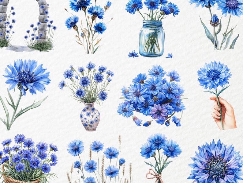 May include: A collection of watercolour illustrations featuring blue cornflowers. The image shows bouquets in vases, jars, and baskets, alongside individual flowers and arrangements. The flowers are a vivid blue with green stems and leaves, presented on a white background.