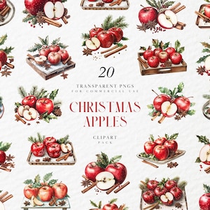 Clipart de maçã de Natal em aquarela, maçãs vermelhas temperadas com pinho e visco, frutas aconchegantes para o feriado, gráficos PNG transparentes, uso comercial