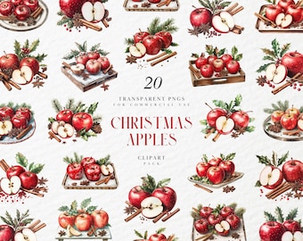 Aquarell Weihnachtsapfel Clipart, gewürzte rote Äpfel mit Kiefer und Mistel, gemütliches Feiertagsobst, transparente PNG-Grafik, kommerzielle Nutzung
