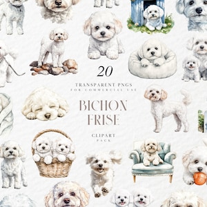 Clipart Bichon frisé aquarelle, chien blanc duveteux, petit chiot bouclé, race mignonne, invitation anniversaire, graphiques PNG transparents, usage Commercial