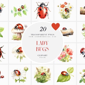 Aquarelle rouge coccinelles Clipart, Bundle coccinelle rouge volante, coccinelle coccinelle printemps insectes Clipart, fichiers PNG Transparents pour usage Commercial