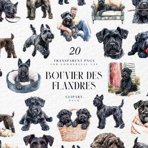 Puede incluir: Una colección de 20 imágenes PNG transparentes que presentan perros Bouvier des Flandres en varias poses. Las ilustraciones en acuarela muestran a los perros en diferentes entornos, como sentados, jugando y descansando. El paquete de imágenes prediseñadas está diseñado para uso comercial.