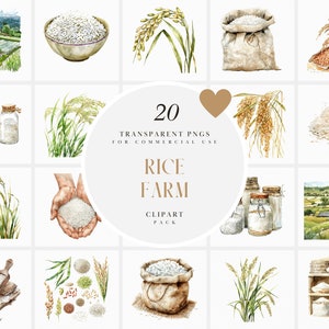 Clipart aquarelle de riz, rizière, ferme de riz sauvage, gluten, agriculture, jasmin, basmati, blanc, brun, noir, PNG transparent, usage commercial