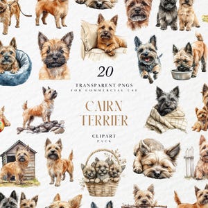 Clipart de Cairn Terrier en acuarela, perro pequeño y desaliñado, raza de pelo áspero, retratos de mascotas escocesas, gráficos PNG transparentes, uso comercial