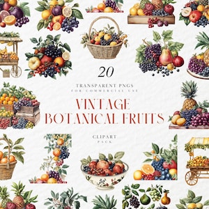 Könnte beinhalten: Eine Sammlung von Aquarellillustrationen mit verschiedenen Früchten, darunter Trauben, Äpfel, Orangen und Ananas. Einige Früchte sind in Körben, Holzkisten und dekorativen Schalen angeordnet. Der Text lautet: "20 Transparente PNGs für kommerzielle Nutzung. Vintage Botanical Fruits Clipart Pack."