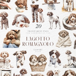 Aquarel Lagotto Romagnolo clipart, Italiaans waterhondenras, pluizig truffeljager huisdier, rustieke puppykunst, transparante png, commercieel gebruik