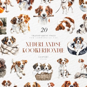May include: Watercolor clipart pack featuring 20 transparent PNGs of Nederlandse Kooikerhondje dogs. The illustrations showcase various poses, including dogs with toys, in beds, and interacting with each other. The dogs have brown and white fur.