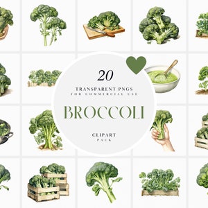 May include: A set of 20 watercolour illustrations of broccoli in various arrangements. The illustrations include broccoli florets, whole heads of broccoli, and broccoli in a pot, on a chopping board, and in a wooden crate. The illustrations are perfect for use in digital and printed projects.