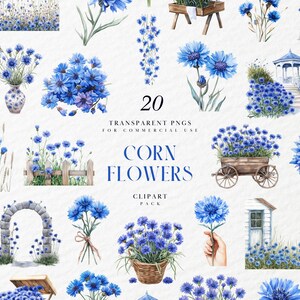 May include: A set of 20 watercolour clipart images of blue cornflowers. The images include bouquets, single flowers, and floral arrangements in vases and baskets. The text "Corn Flowers Clipart Pack" is also visible.