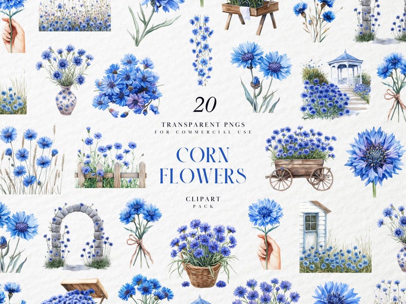May include: A set of 20 watercolour clipart images of blue cornflowers. The images include bouquets, single flowers, and floral arrangements in vases and baskets. The text "Corn Flowers Clipart Pack" is also visible.