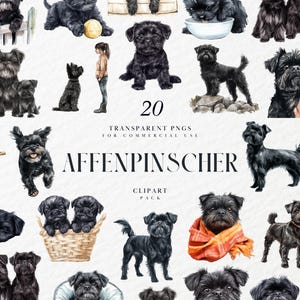 Clipart de Affenpinscher em aquarela, decoração de cachorro de brinquedo com cara de macaco desalinhado, raça de filhote fofo para amantes de cães, PNG transparente, uso comercial
