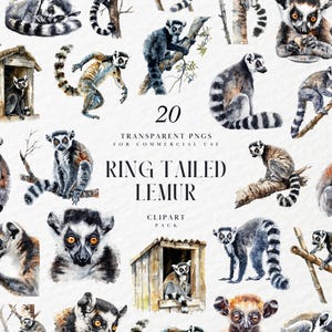 Akvarell ringstjärtad lemur Clipart, exotisk, vild, djungelprimat Madagaskar, boho safaridjur, transparent PNG-grafik, kommersiellt bruk