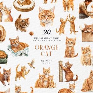Clipart chat orange aquarelle, mignons chats oranges, animal de compagnie, chat d'intérieur, chatons, cheveux longs courts, graphiques PNG transparents, usage Commercial