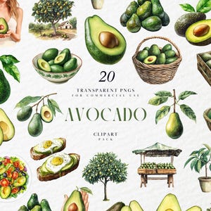 Clipart di avocado ad acquerello, Clipart di avocado verde, Clipart di frutto di avocado vegetale, Clipart di toast di avocado, PNG trasparente, Arte per uso commerciale