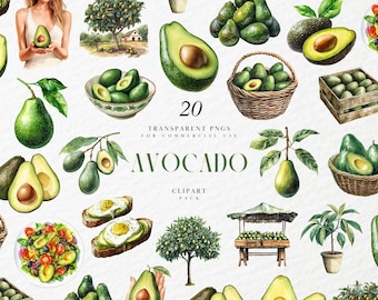 Aquarel avocado's clipart, groene avocado clipart, plant avocado fruit clipart, avocado toast clipart, transparante PNG, commercieel gebruik kunst