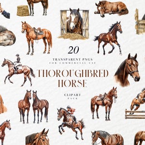 May include: A digital clipart pack of 20 watercolor illustrations of thoroughbred horses in various poses. The illustrations are in a realistic style and feature a variety of colors, including brown, black, and white. The pack includes horses standing, running, jumping, and lying down. The text "20 Transparent PNGs for Commercial Use Thoroughbred Horse Clipart Pack" is included in the image.