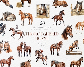 May include: A digital clipart pack of 20 watercolor illustrations of thoroughbred horses in various poses. The illustrations are in a realistic style and feature a variety of colors, including brown, black, and white. The pack includes horses standing, running, jumping, and lying down. The text "20 Transparent PNGs for Commercial Use Thoroughbred Horse Clipart Pack" is included in the image.