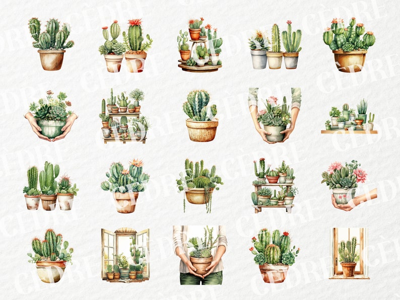 Watercolor Cactus Pot Clipart, Cacti Pot Clipart, Potted Cactus House ...