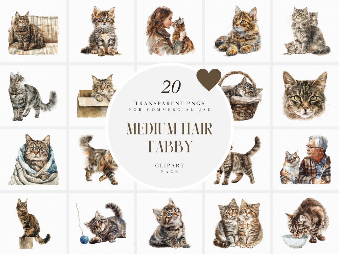 Watercolor Medium Hair Tabby Clipart, Tabby Cats, Kittens, Family