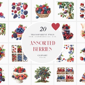 Clipart di bacche assortite dell'acquerello, clipart di bacche, albero di bacche, fattoria, dessert, dolci, torta, barattolo, grafica PNG trasparente, uso commerciale