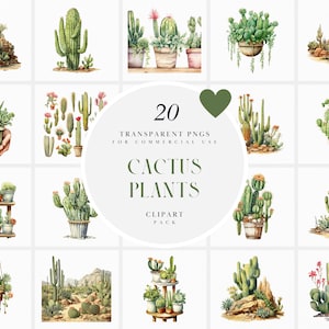 Clipart aquarelle cactus, cactus, plantes succulentes, plantes du désert, fabrication de cartes, faire-part, PNG transparent, usage commercial