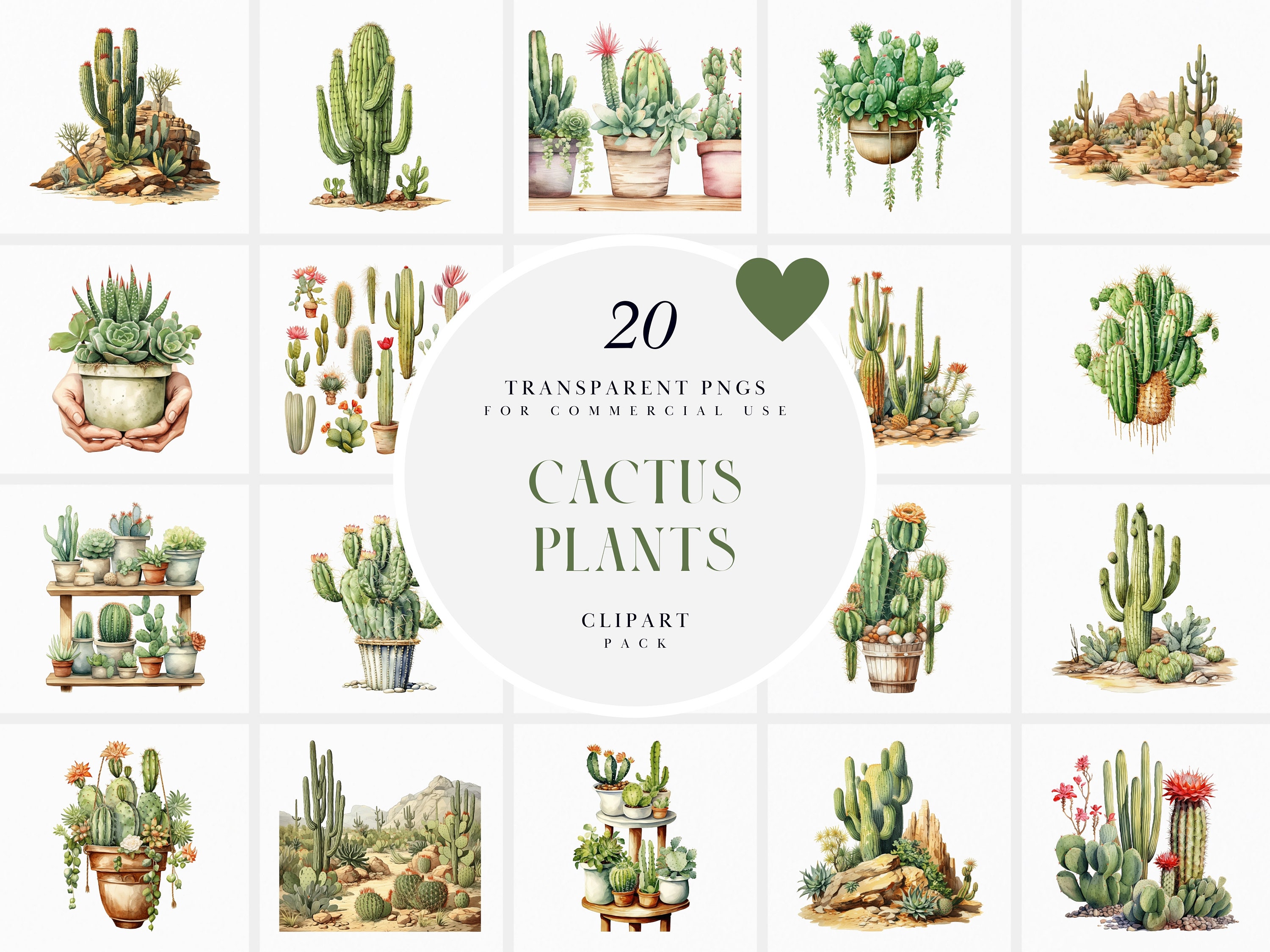 Watercolor Cactus Plant Clipart, Cacti Plant, Succulent Plants, Desert  Plants, Card Making, Invitations, Transparent PNG, Commercial Use - Etsy