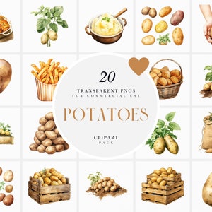 Aquarelle des cliparts de pomme de terre, pommes de terre des cliparts, des cliparts de légume-racine, des aliments de base des cliparts végétariens, graphiques PNG transparents, usage Commercial