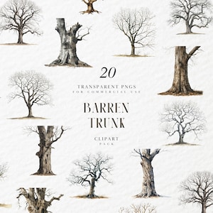 Aquarell unfruchtbaren Baum Clipart, nackte Bäume, ausgereifter Wald, Baumstamm, Zweige, Ast, Wald, transparente PNG, kommerzielle Nutzung