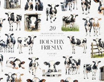 Watercolor Holstein Friesian Clipart, Dairy Cattle Clipart, Black and White Cow Clipart, Cows, Transparent PNG Graphics, Commercial Use