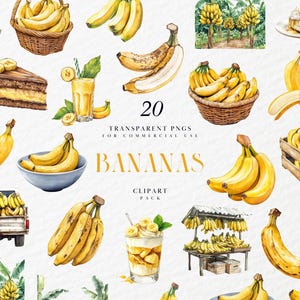 Aquarelle bananes des cliparts, des cliparts banane jaune, des cliparts de fruits tropicaux frais, illustration graphique de banane, PNG Transparent à usage Commercial