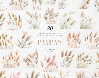 Aquarel pampas clipart, boho bloemengras in neutrale tinten, botanische stengels voor bruiloft decor, transparante png-afbeeldingen, commercieel gebruik
